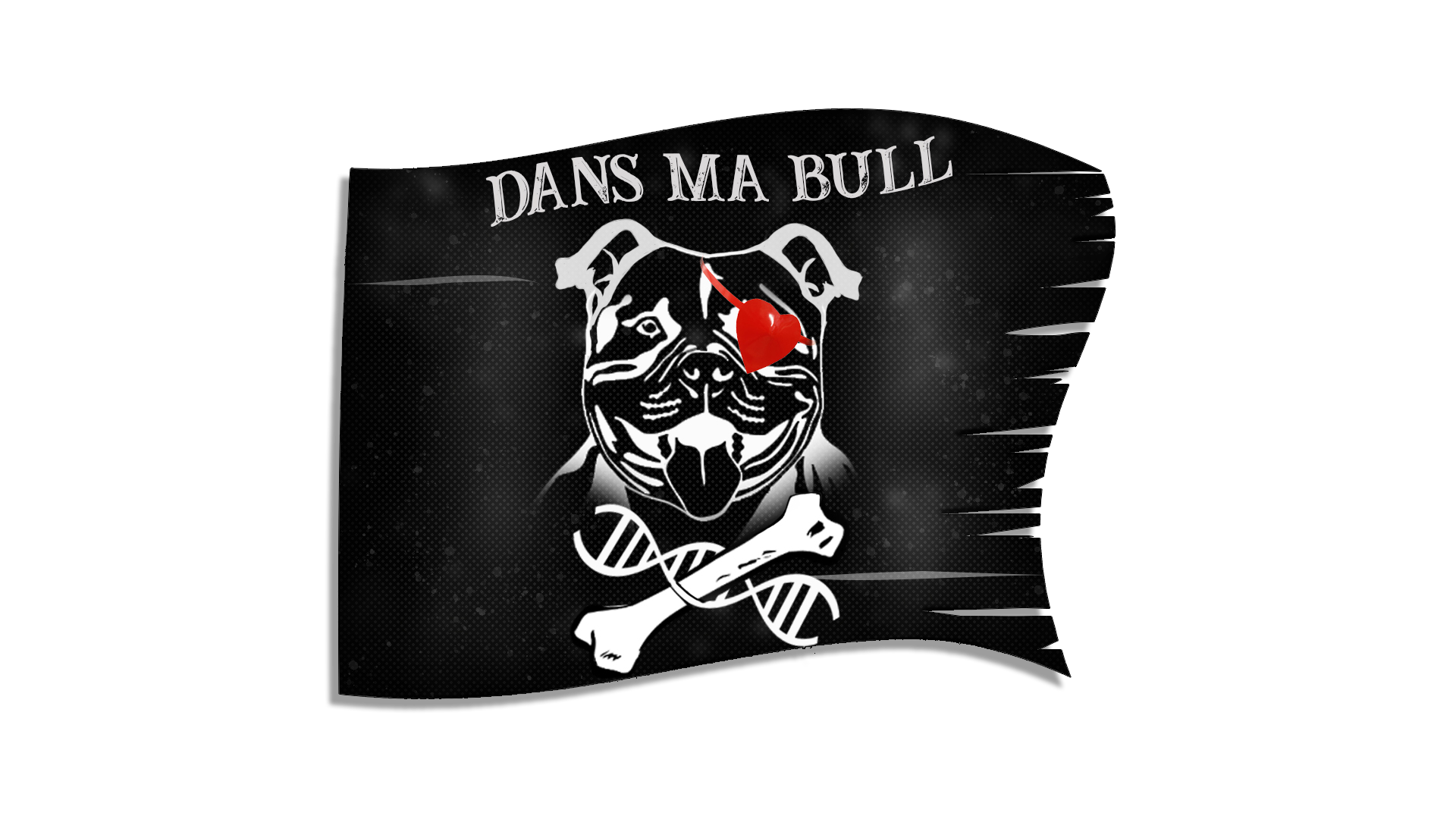 Logo dans ma bull